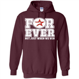 Houston Astros Forever For ever not just when we win - Hoodie