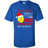 Dear Santa I Really Did Try To Be A Nice Softball Mom T-Shirt - Shirt