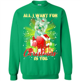 All I Want For Christmas Is You Yorkie Yorkshire Terrier