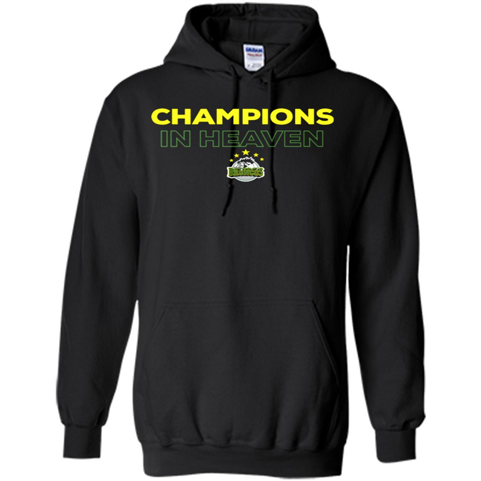 HUMBOLDT BRONCOS CHAMPIONS IN HEAVEN