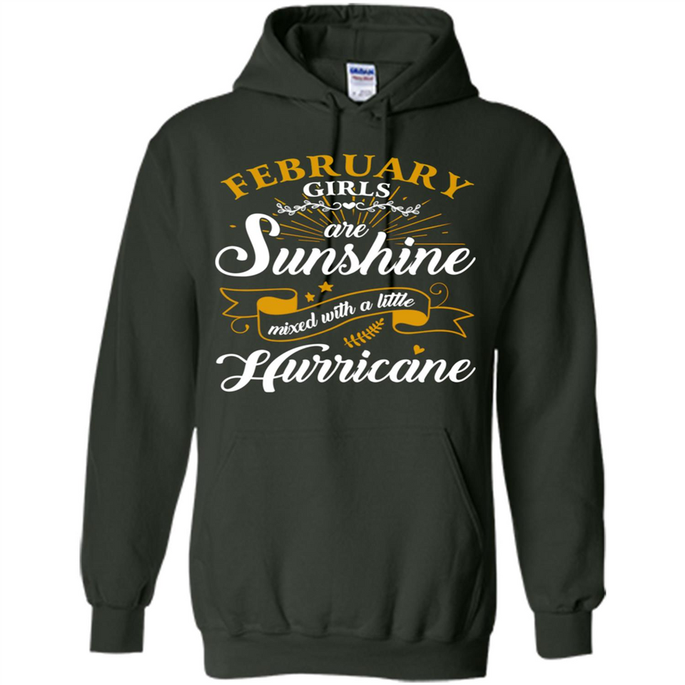 February Girl Are Sunshine Mixed With a Little Hurricane