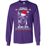 Morning Person Dutch Shepherd Funny Xmas - Long Sleeve T-Shirt