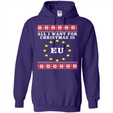 All I want for Christmas is EU ugly - Hoodie