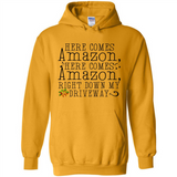 Here Comes Amazon Right Down My Driveway Christmas - Hoodie