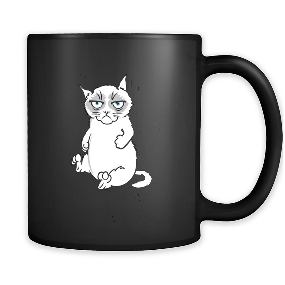 annoyed kitty touchy kitty grouchy ball of fur noody kitty PING PONG