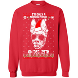 Morning Person Pharaoh Hound Funny Xmas - Sweatshirt