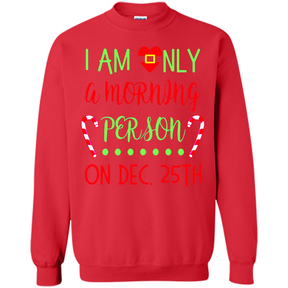 Funny Christmas Gift Santa - Sweatshirt