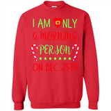 Funny Christmas Gift Santa - Sweatshirt