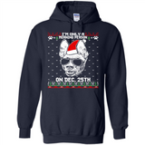 Morning Person Pharaoh Hound Funny Xmas - Hoodie