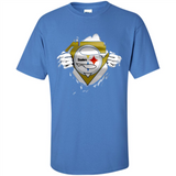 Pittsburgh Steelers And Superman Fans