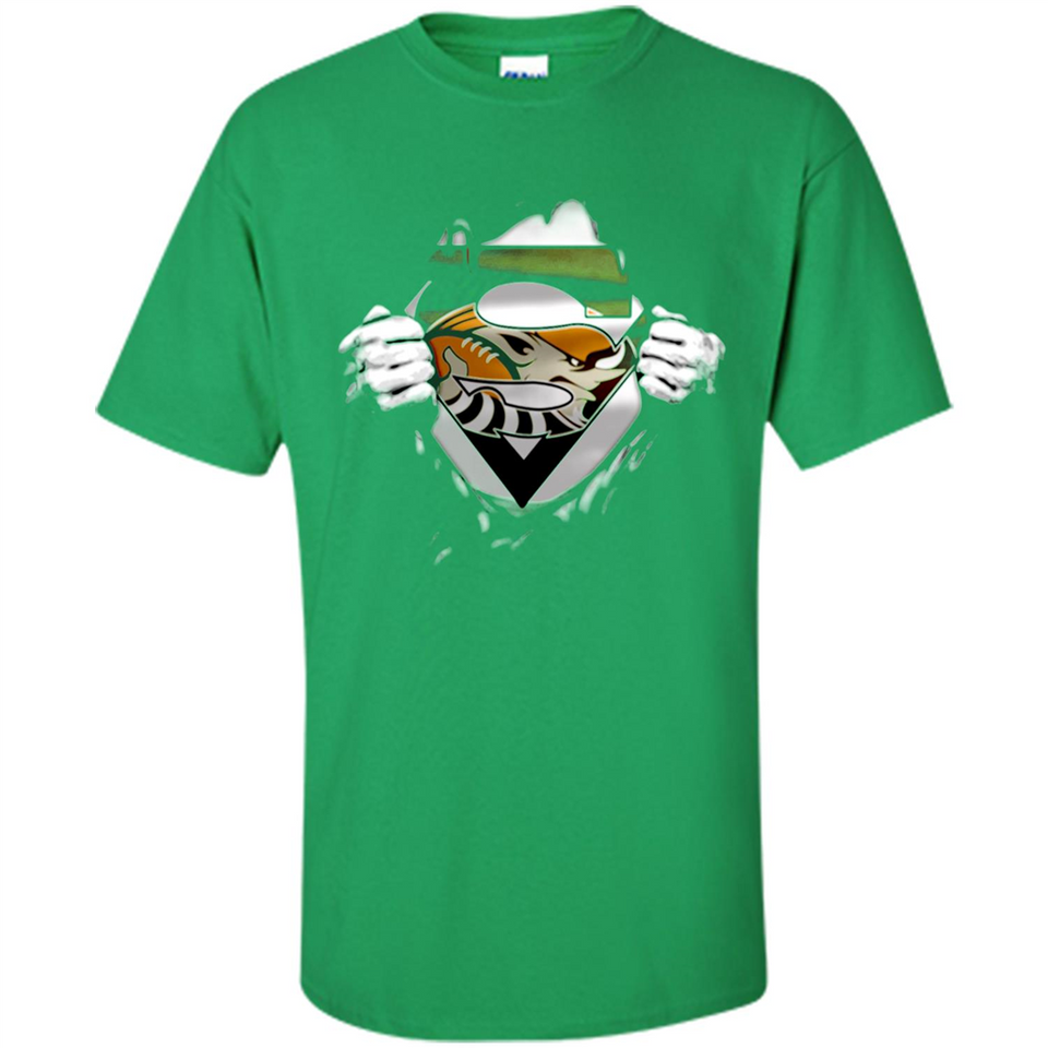Cleveland Browns And Superman Fans - Shirt