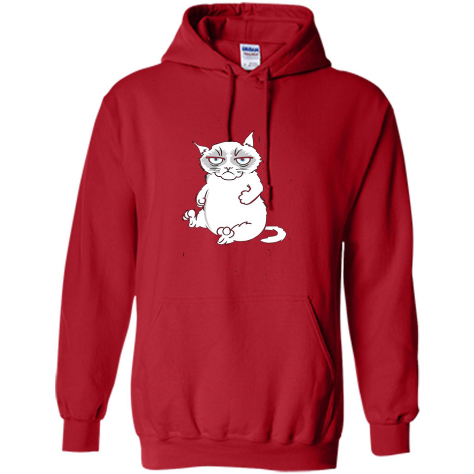 annoyed kitty touchy kitty grouchy ball of fur noody kitty PING PONG