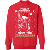 Morning Person Dutch Shepherd Funny Xmas - Sweatshirt