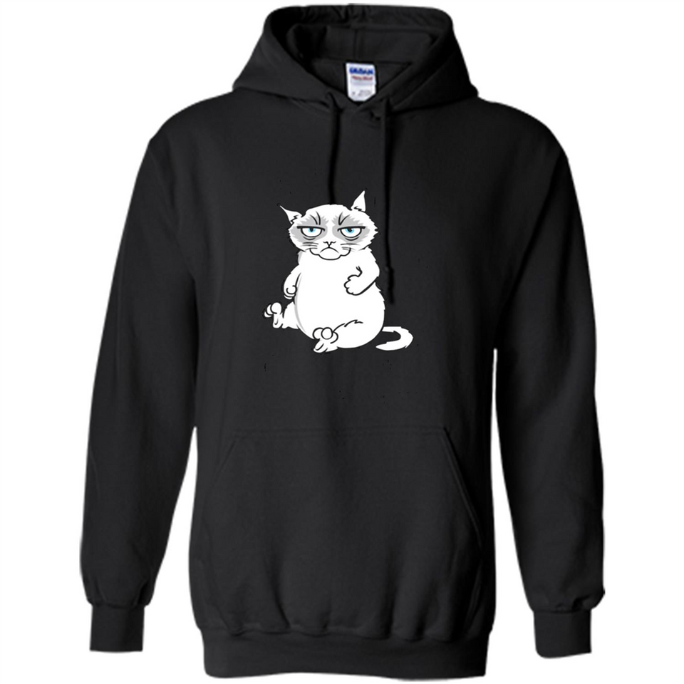 annoyed kitty touchy kitty grouchy ball of fur noody kitty PING PONG
