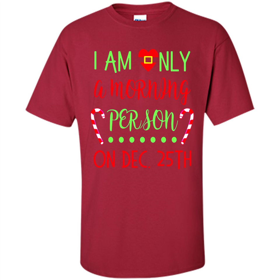 Funny Christmas Gift Santa - Shirt