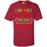 Funny Christmas Gift Santa - Shirt