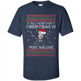 All I Want For Christmas Is Post Malone