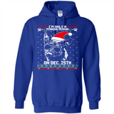 Morning Person Dutch Shepherd Funny Xmas - Hoodie