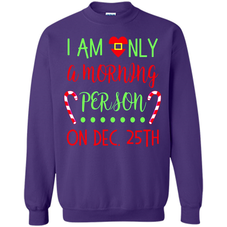 Funny Christmas Gift Santa - Sweatshirt