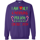 Funny Christmas Gift Santa - Sweatshirt