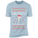 All I Want For Christmas Is Post Malone