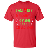 Funny Christmas Gift Santa - Shirt