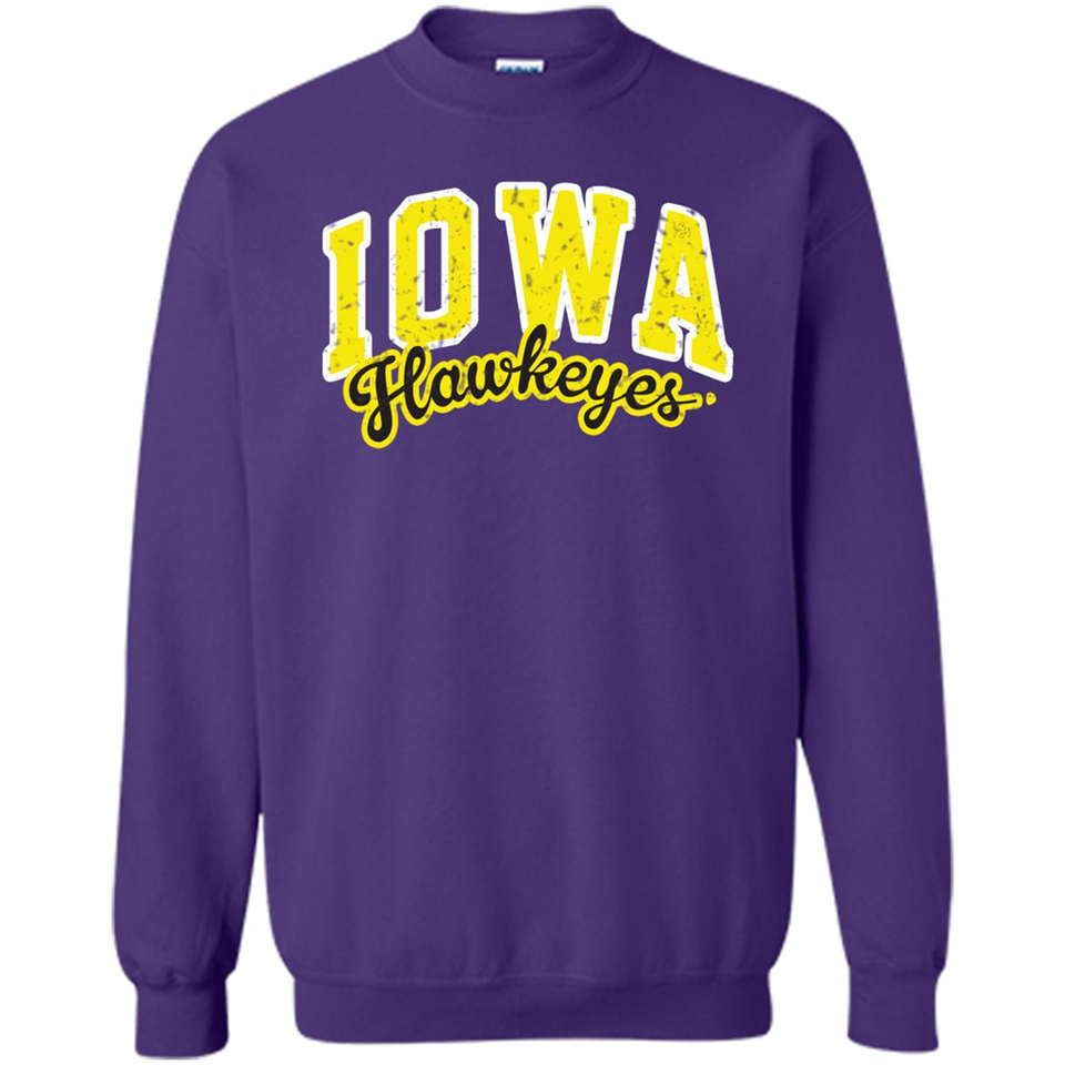 University of Iowa Hawkeyes NCAA
