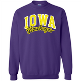 University of Iowa Hawkeyes NCAA