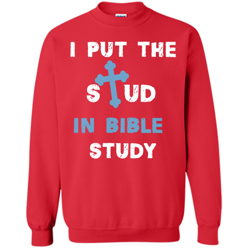I PUT THE STUD IN BIBLE STUDY CROSS