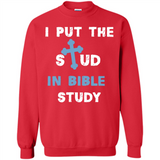 I PUT THE STUD IN BIBLE STUDY CROSS