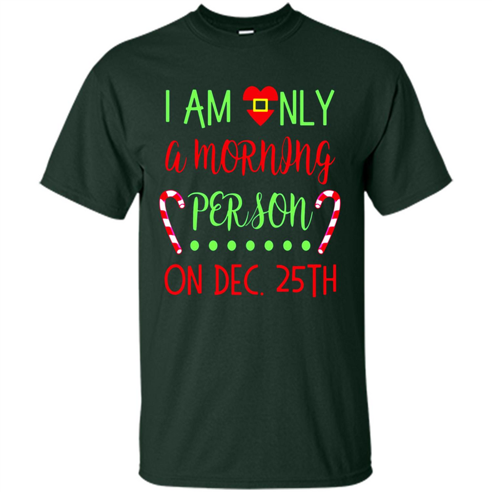 Funny Christmas Gift Santa - Shirt