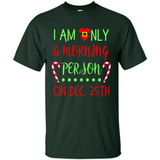 Funny Christmas Gift Santa - Shirt