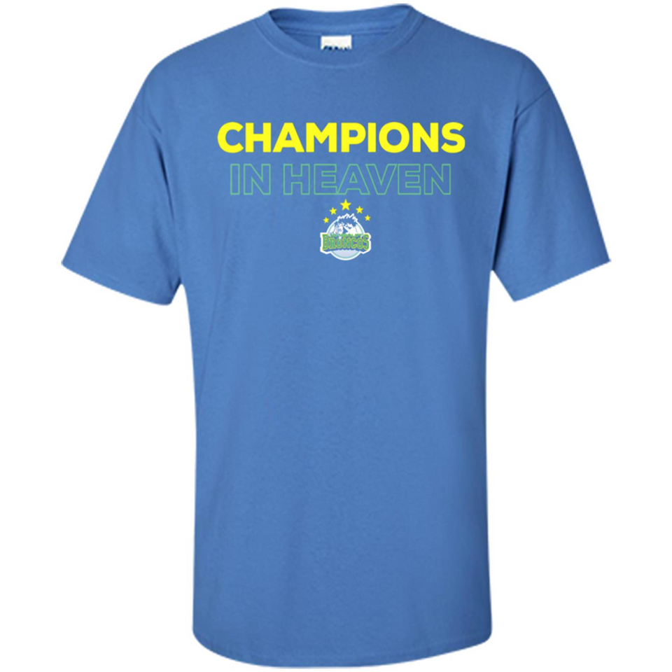 HUMBOLDT BRONCOS CHAMPIONS IN HEAVEN