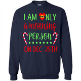 Funny Christmas Gift Santa - Sweatshirt