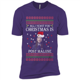 All I Want For Christmas Is Post Malone