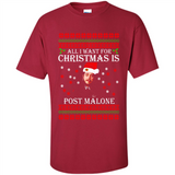 All I want for Christmas is Post Malone PINGPONG