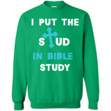 I PUT THE STUD IN BIBLE STUDY CROSS