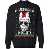 Morning Person Pharaoh Hound Funny Xmas - Sweatshirt