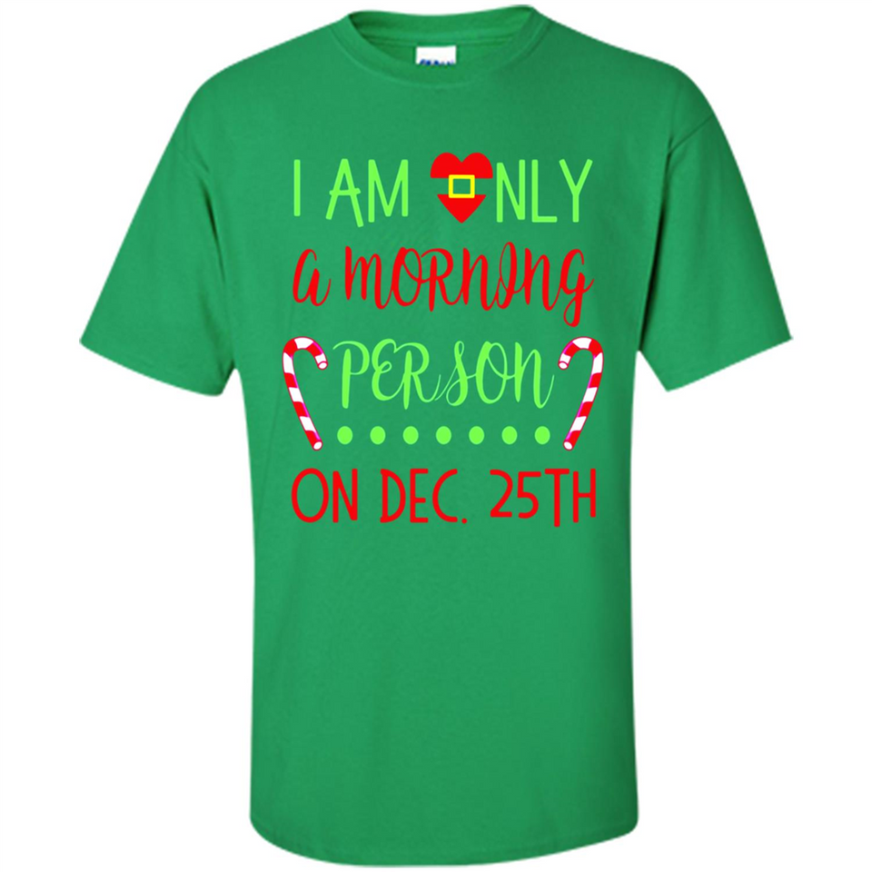 Funny Christmas Gift Santa - Shirt