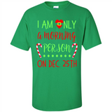 Funny Christmas Gift Santa - Shirt