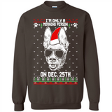 Morning Person Pharaoh Hound Funny Xmas - Sweatshirt