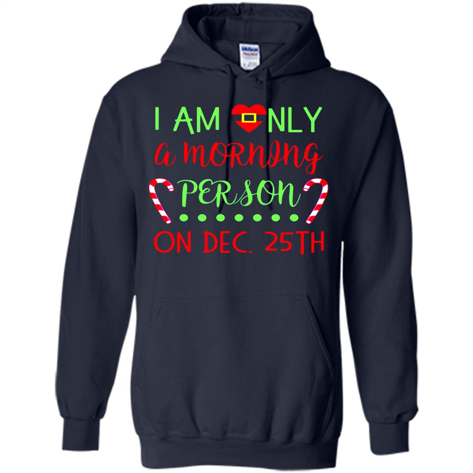 Funny Christmas Gift Santa - Hoodie