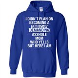 I Didn't Plan on Becoming a Grouchy Demanding