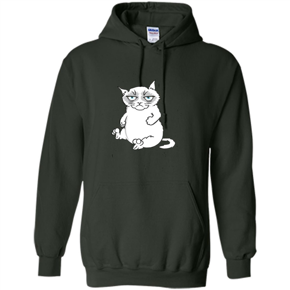 annoyed kitty touchy kitty grouchy ball of fur noody kitty PING PONG