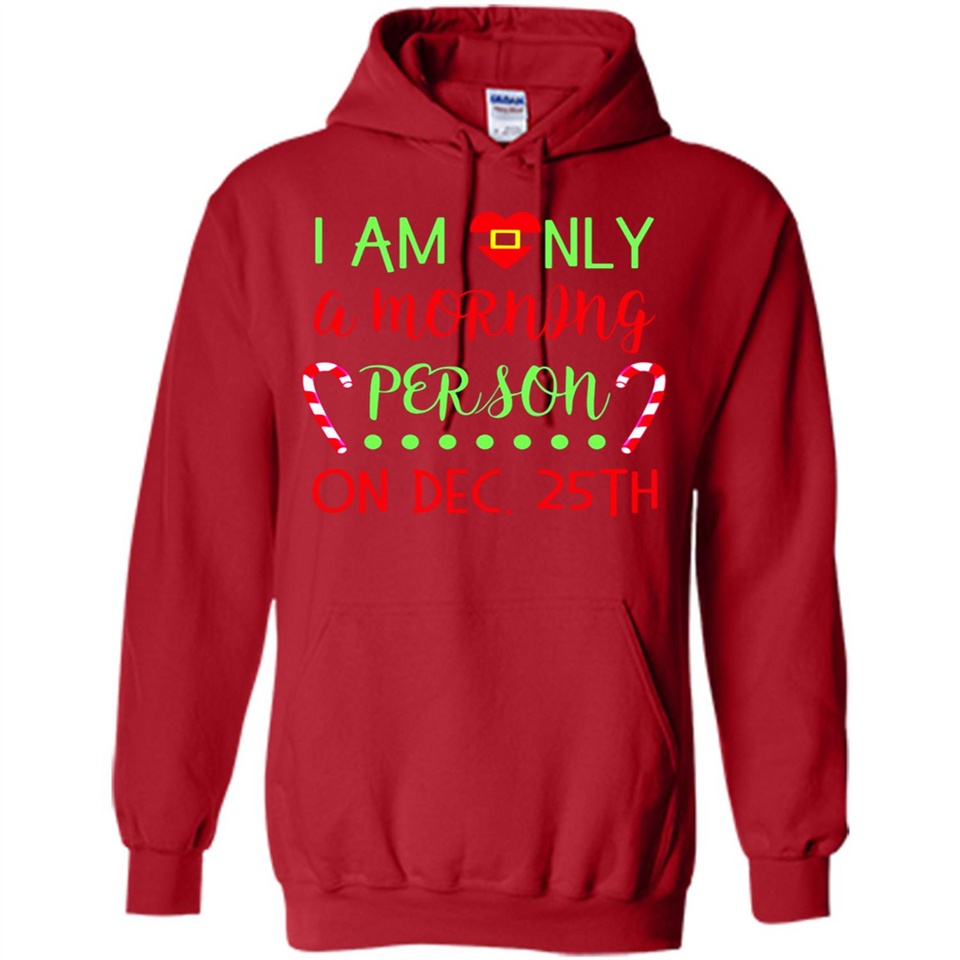 Funny Christmas Gift Santa - Hoodie