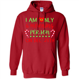 Funny Christmas Gift Santa - Hoodie