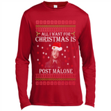 All I Want For Christmas Is Post Malone