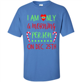 Funny Christmas Gift Santa - Shirt