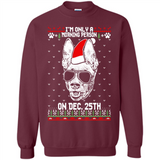 Morning Person Pharaoh Hound Funny Xmas - Sweatshirt
