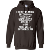 I Didn't Plan on Becoming a Grouchy Demanding